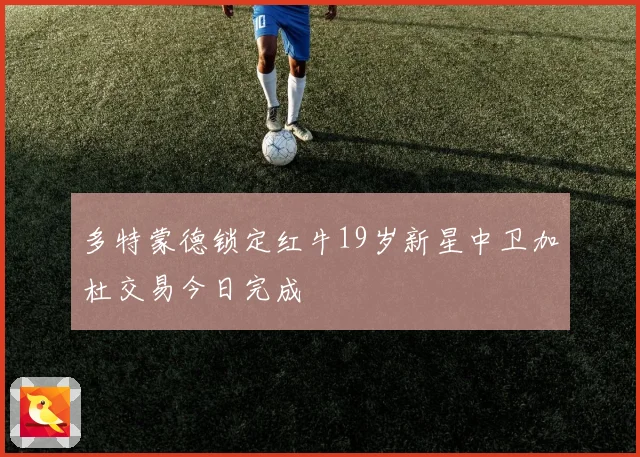 多特蒙德锁定红牛19岁新星中卫加杜交易今日完成