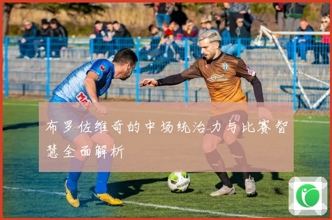 布罗佐维奇的中场统治力与比赛智慧全面解析